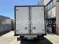Iveco Daily Iveco Daily Coibentato Isotermico Frigorifero Bianco - thumbnail 3
