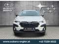 Subaru Crosstrek Style Xtra Weiß - thumbnail 22