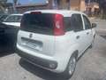 Fiat Panda 1.3 MJT 80 CV S&S Easy Bianco - thumbnail 4