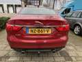 Jaguar XF 3.0d S 143.DKM AUT ECC LEDER CRUISE PANO Rojo - thumbnail 29