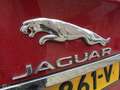 Jaguar XF 3.0d S 143.DKM AUT ECC LEDER CRUISE PANO Rojo - thumbnail 24