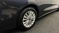 Ford Focus Wagon 1.0 EcoBoost Titanium X Business TREKHAAK EC Blu/Azzurro - thumbnail 15