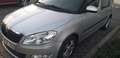 Skoda Roomster 1.6 CR TDi Ambition DPF Zilver - thumbnail 1