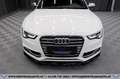 Audi S5 3,0 TFSI quattro Aut.*LEDER*NAVI*R-KAMERA*SHZ* Weiß - thumbnail 4