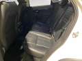 Land Rover Range Rover Evoque 2.0d i4 mhev R-Dynamic SE awd 150cv auto - PROMO Weiß - thumbnail 8