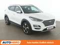 Hyundai TUCSON 1.6 TGDI Prime 4WD Aut*NAVI*LED*TEMPO*CAM*PDC*SHZ* Weiß - thumbnail 8