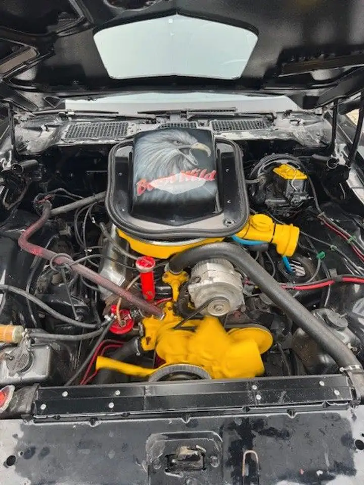 Pontiac Trans Am H Kennzeichen, foto 11