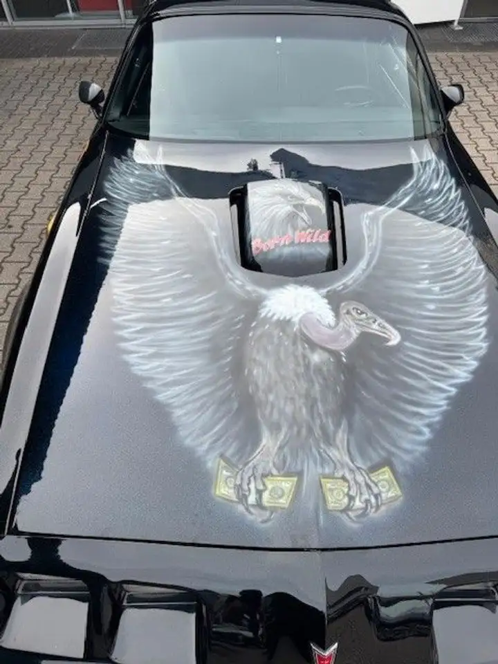 Pontiac Trans Am H Kennzeichen, foto 10