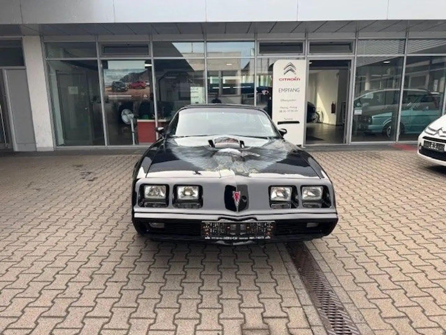 Pontiac Trans Am H Kennzeichen Schwarz - 2