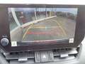 Toyota Sonstige 2,5 Hybrid Active Drive 2WD Grau - thumbnail 13