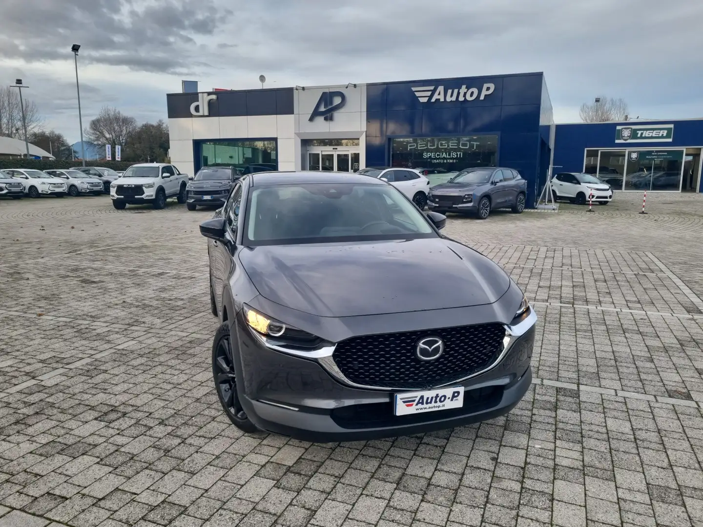 Mazda CX-30 2.0L e-Skyactiv-G M Hybrid 2WD Homura - 1