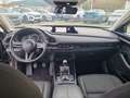 Mazda CX-30 2.0L e-Skyactiv-G M Hybrid 2WD Homura - thumbnail 13