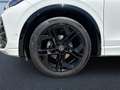 Volkswagen Tiguan R-Line 1,5 l eTSI OPF 7-Gang-DSG AHK, IQ. Weiß - thumbnail 7