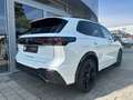 Volkswagen Tiguan R-Line 1,5 l eTSI OPF 7-Gang-DSG AHK, IQ. Weiß - thumbnail 10