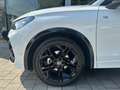 Volkswagen Tiguan R-Line 1,5 l eTSI OPF 7-Gang-DSG AHK, IQ. Weiß - thumbnail 13