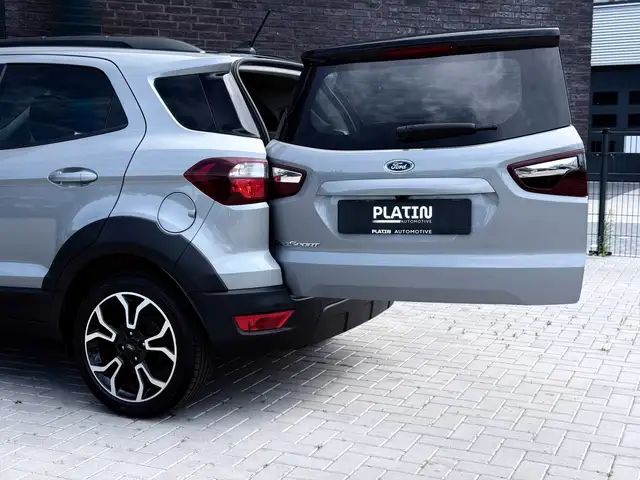 Ford Ecosport view 14