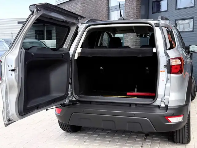 Ford Ecosport view 15