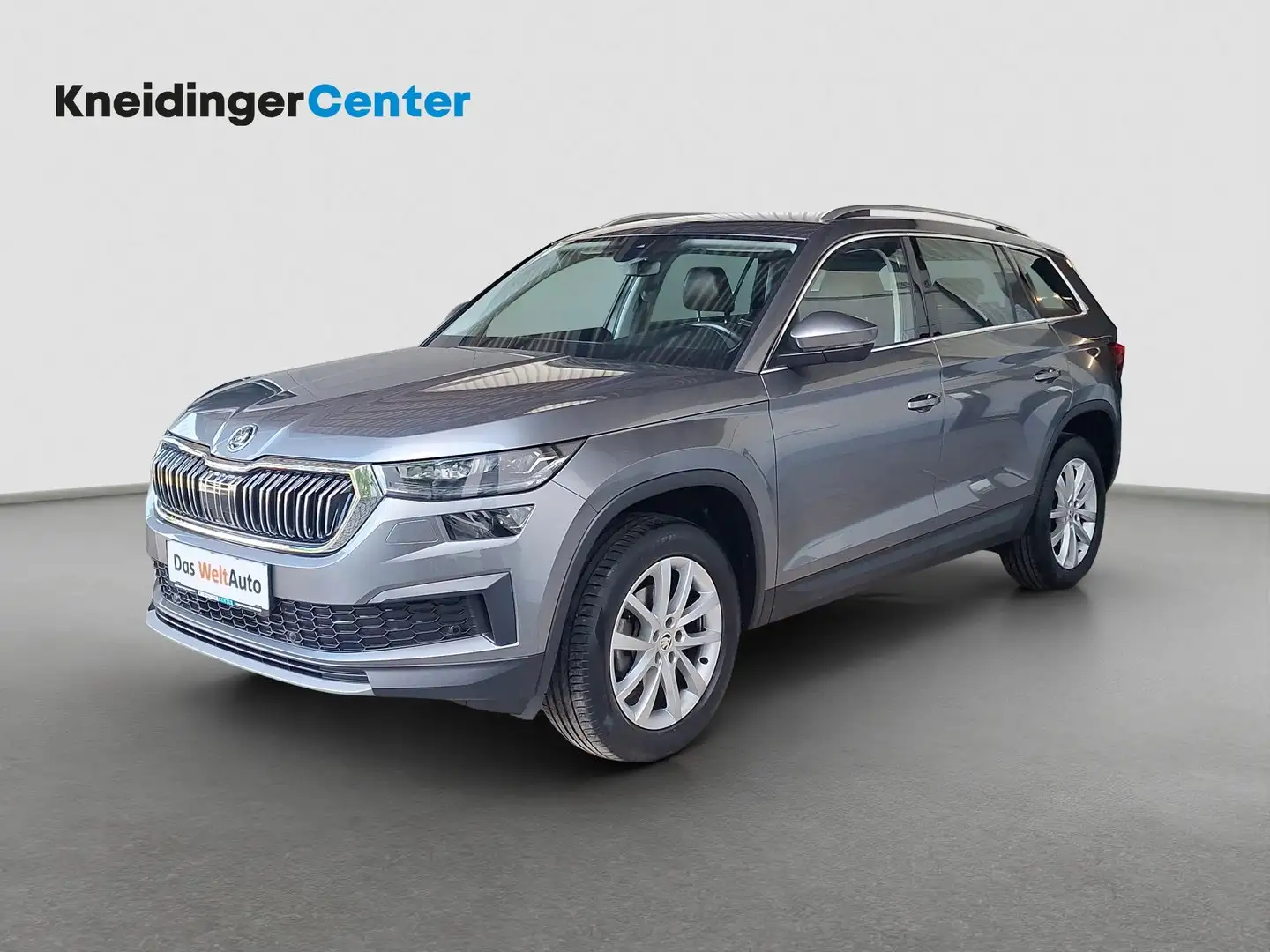 Skoda Kodiaq 4x4 Style TDI DSG Grau - 1