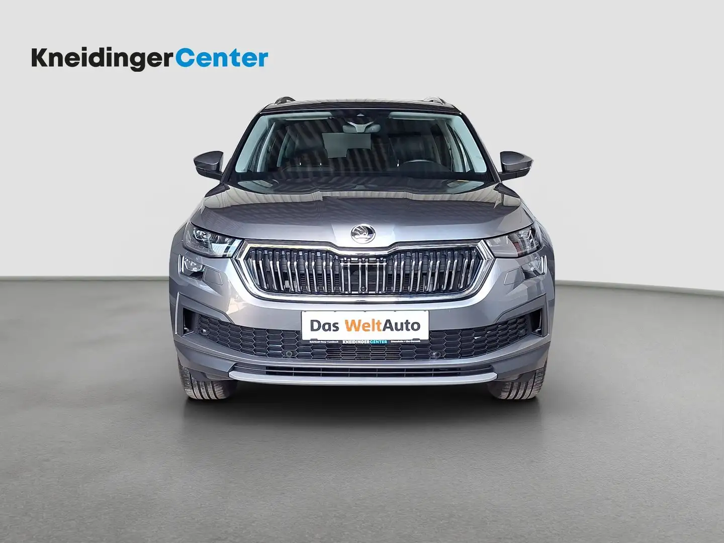 Skoda Kodiaq 4x4 Style TDI DSG Grau - 2