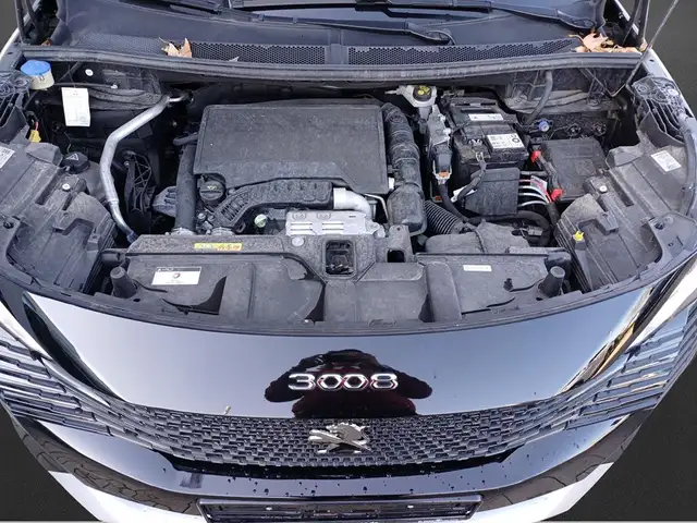 Peugeot 3008 view 5