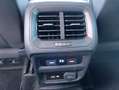 Volkswagen Tiguan 2.0TDI Advance DSG 110kW Verde - thumbnail 14