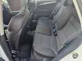 Audi A3 A3 II 2008 Sportback Sportback 1.6 tdi Ambition Weiß - thumbnail 18