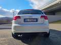 Audi A3 A3 II 2008 Sportback Sportback 1.6 tdi Ambition Weiß - thumbnail 3