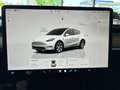 Tesla Model Y Long Range Dual AWD Bianco - thumbnail 15