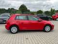 Volkswagen Golf VII 1.6 TDI BMT Trendline - 1.HAND / PDC Roşu - thumbnail 9