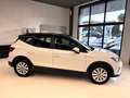 SEAT Arona Arona 2022 1.0 tgi Style 90cv Bianco - thumbnail 4
