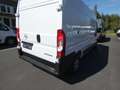 Opel Movano C Kasten HKa L3H2 3,5t Edition Wit - thumbnail 6