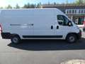 Opel Movano C Kasten HKa L3H2 3,5t Edition Wit - thumbnail 7
