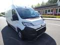 Opel Movano C Kasten HKa L3H2 3,5t Edition Wit - thumbnail 8