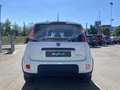 Fiat Panda *PROMO* 1.0 FireFly S&S Hybrid Blanc - thumbnail 5