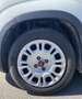 Fiat Panda *PROMO* 1.0 FireFly S&S Hybrid Blanc - thumbnail 13