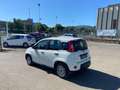 Fiat Panda *PROMO* 1.0 FireFly S&S Hybrid Blanc - thumbnail 7