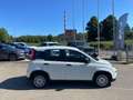 Fiat Panda *PROMO* 1.0 FireFly S&S Hybrid Blanc - thumbnail 4