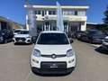 Fiat Panda *PROMO* 1.0 FireFly S&S Hybrid Blanc - thumbnail 2