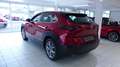 Mazda CX-30 SKYACTIV-G Selection *Active*18Zoll*Bose*Garantie2 Rouge - thumbnail 4