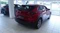 Mazda CX-30 SKYACTIV-G Selection *Active*18Zoll*Bose*Garantie2 Rood - thumbnail 3