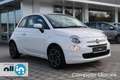 Fiat 500 500 1.0 70cv Hybrid CLUB Bianco - thumbnail 1