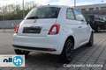 Fiat 500 500 1.0 70cv Hybrid CLUB Bianco - thumbnail 3