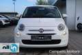 Fiat 500 500 1.0 70cv Hybrid CLUB Bianco - thumbnail 2
