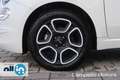 Fiat 500 500 1.0 70cv Hybrid CLUB Bianco - thumbnail 13