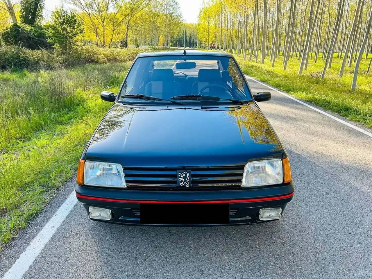 Peugeot 205 GTI, foto 12