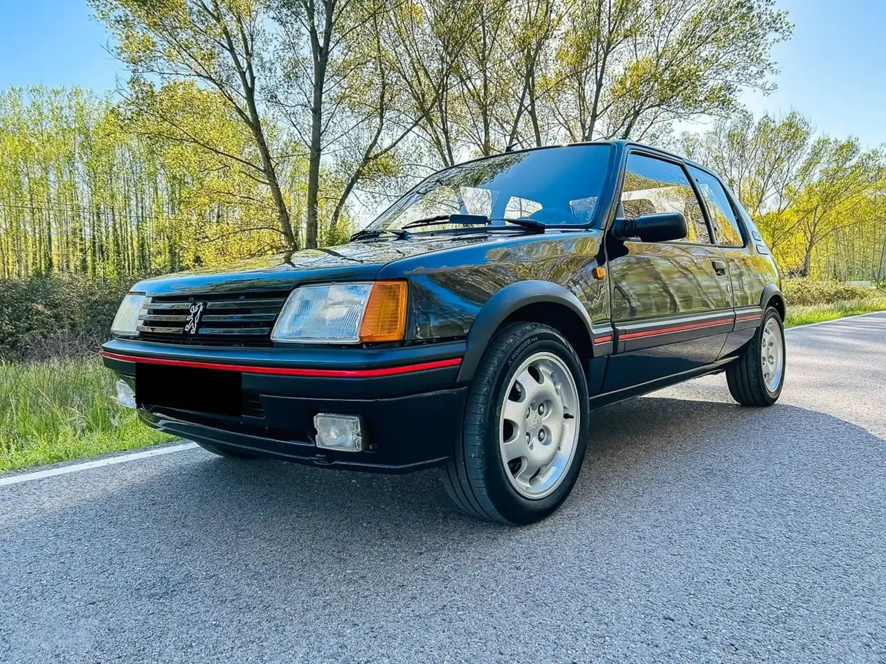 Peugeot 205 GTI, foto 1