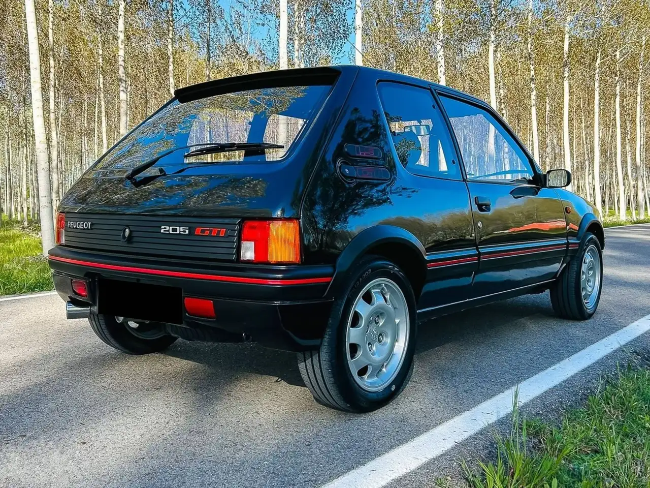 Peugeot 205 GTI, foto 9