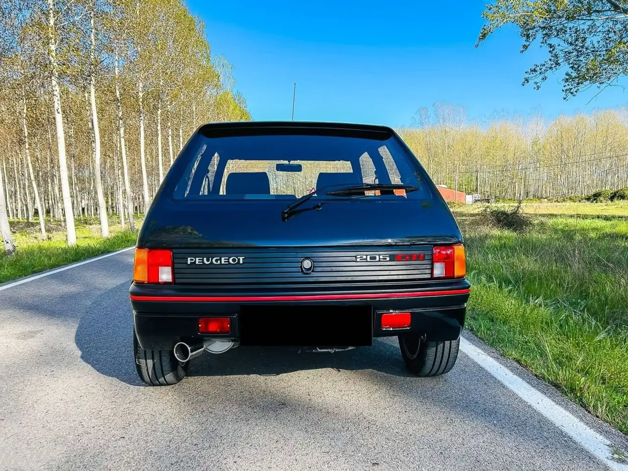 Peugeot 205 GTI, foto 4