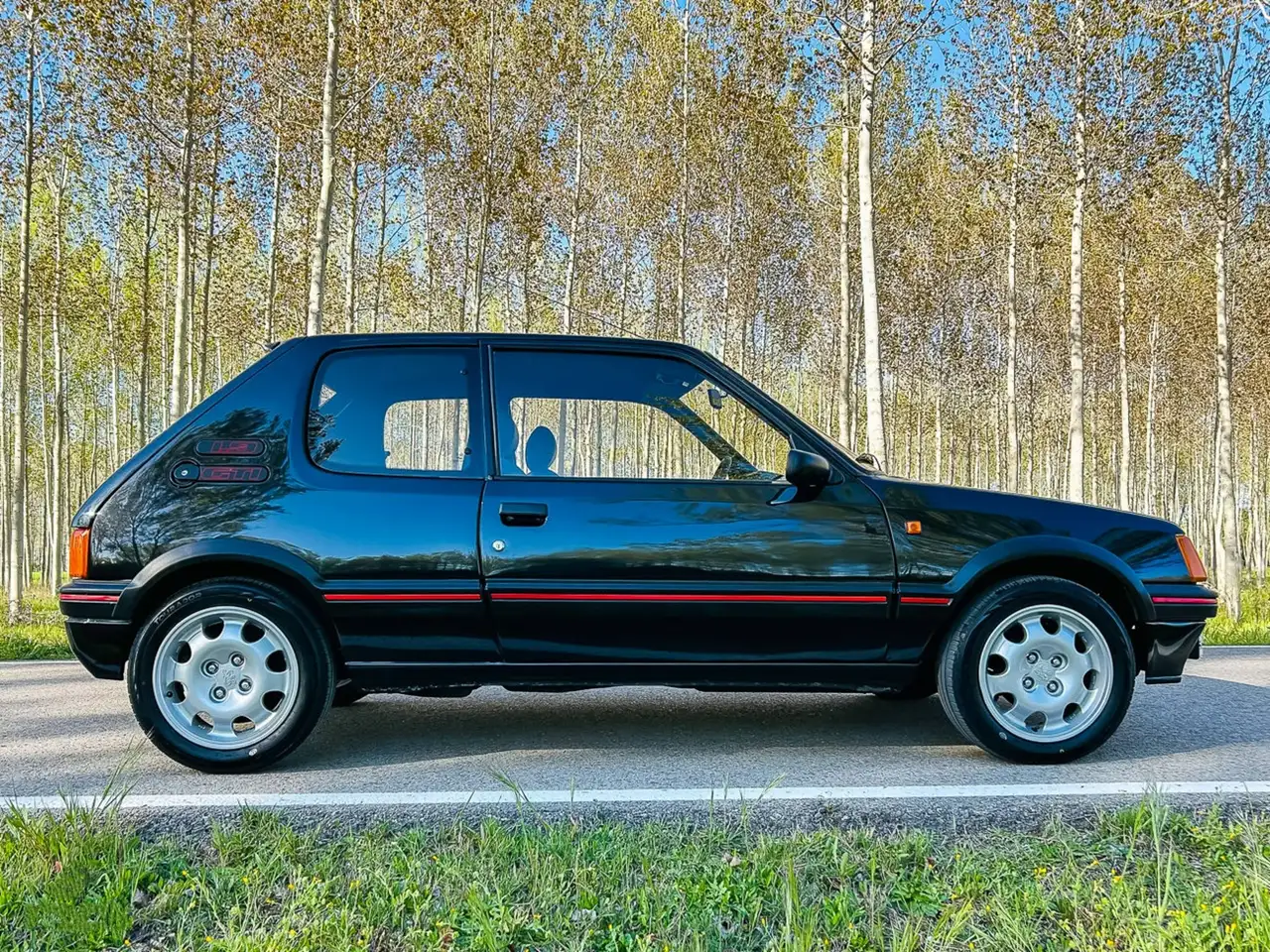 Peugeot 205 GTI, foto 10