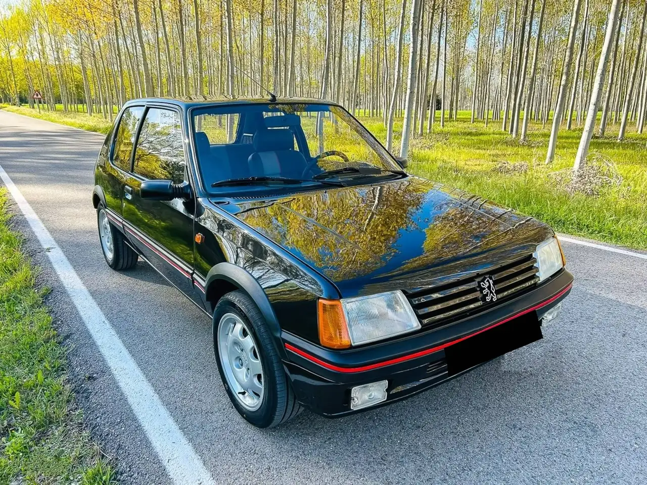Peugeot 205 GTI, foto 11